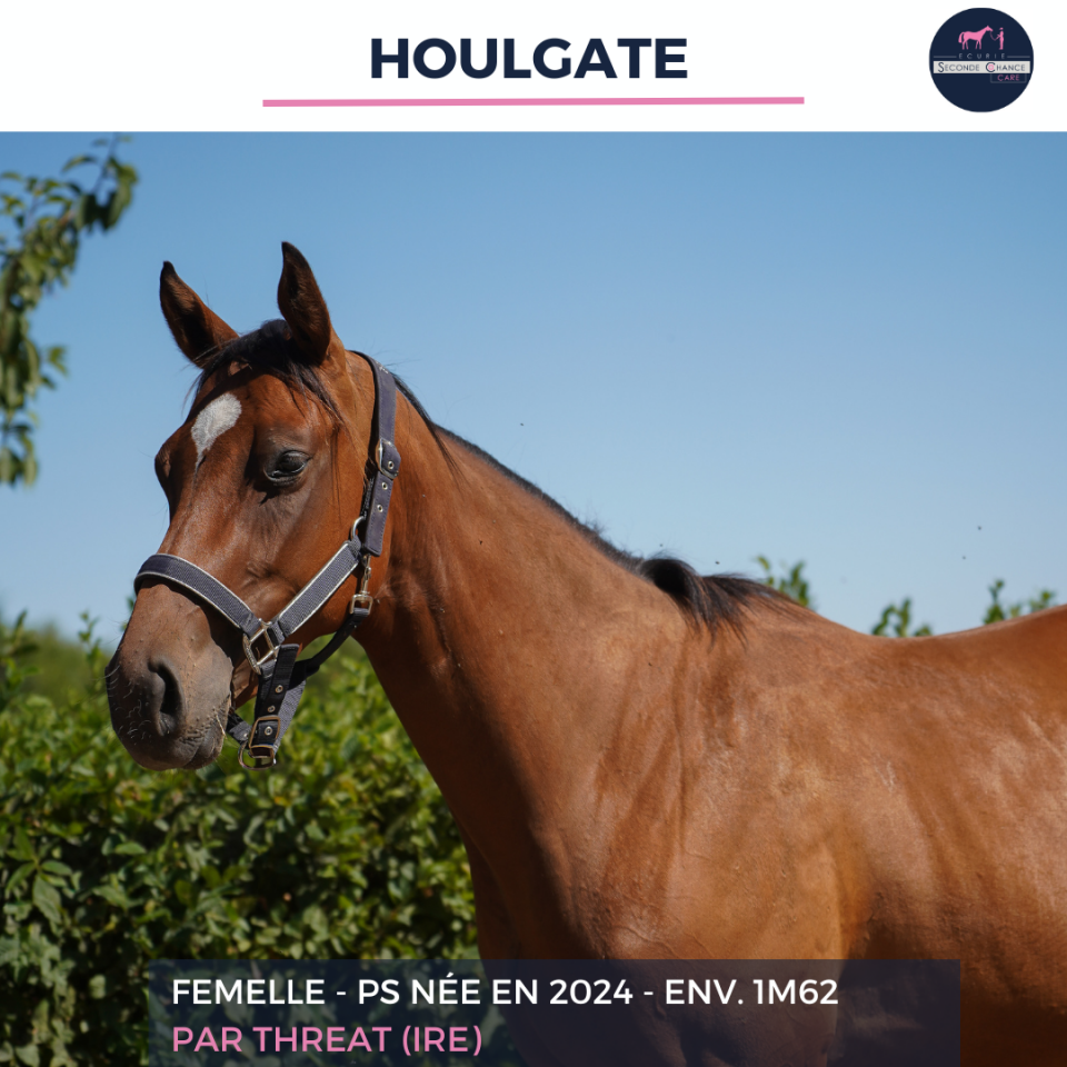 HOULGATE - PS - 2 ANS 