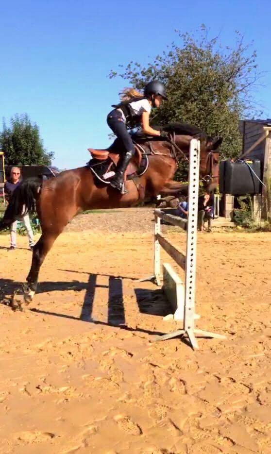 Foal M&acirc;le PFS par Kantje&rsquo;s Ronaldo 
