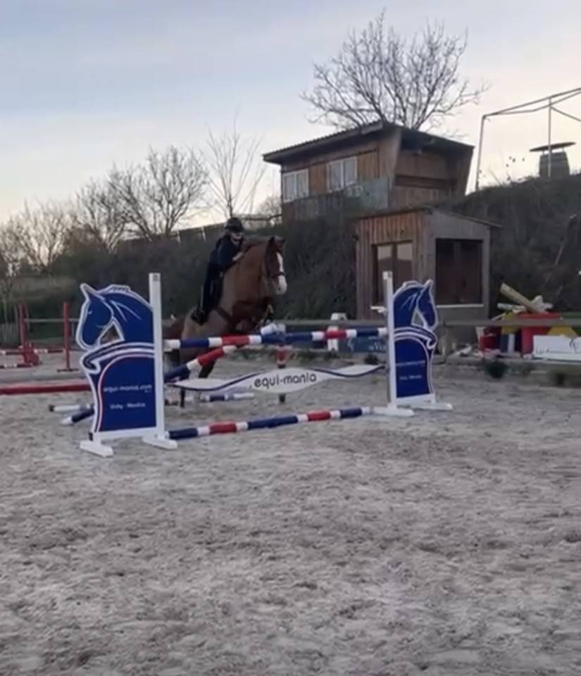 &Agrave; vendre super poney P1/P Elite 