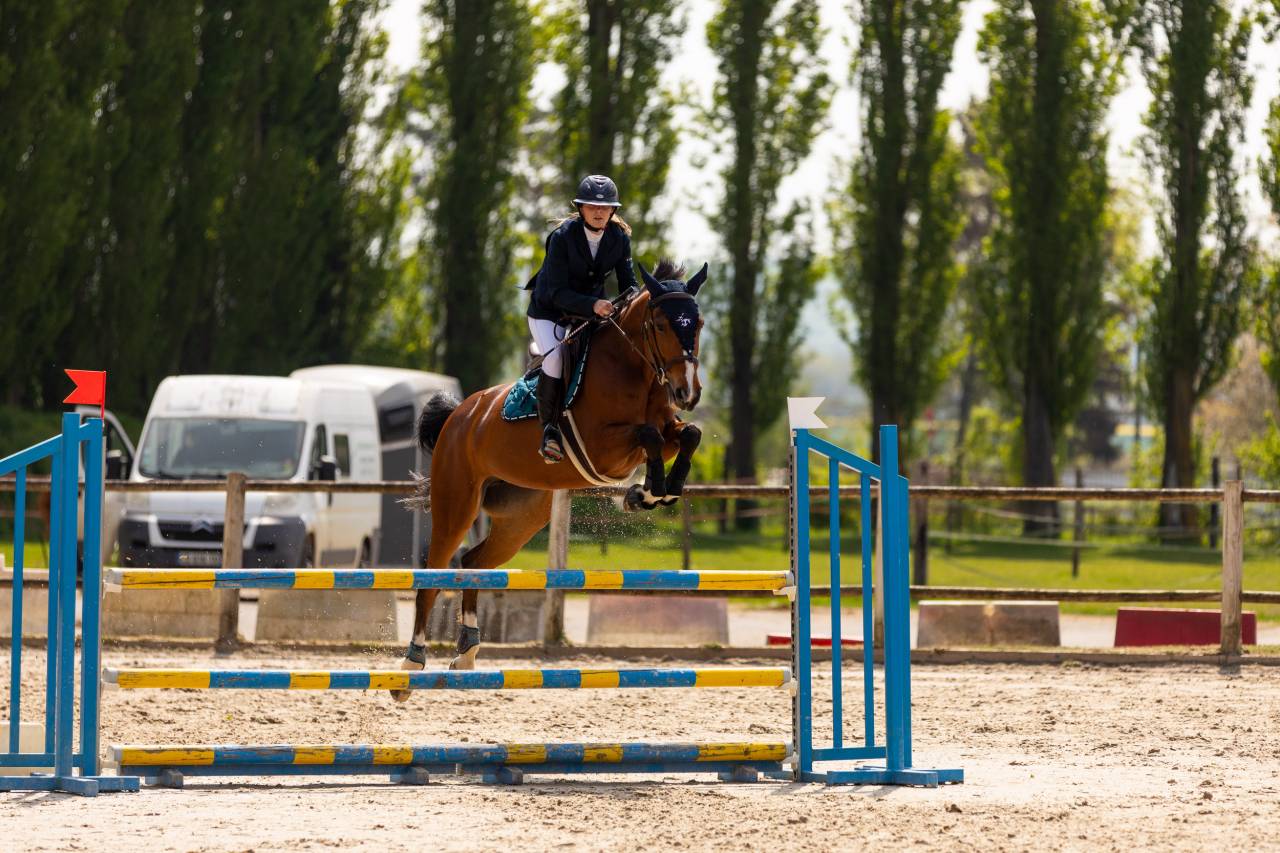 Jument 9 ans par Andiamo Semilly 