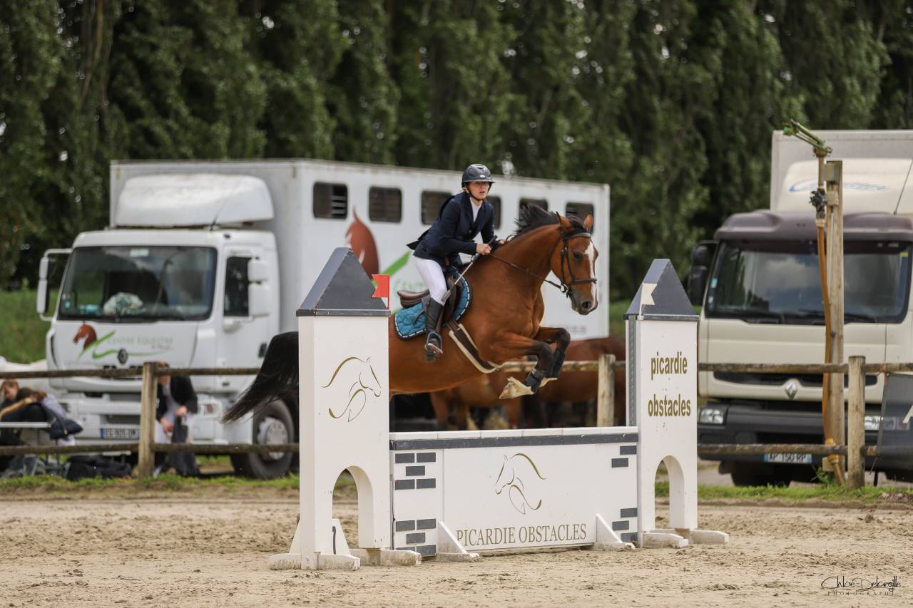Jument 9 ans par Andiamo Semilly 