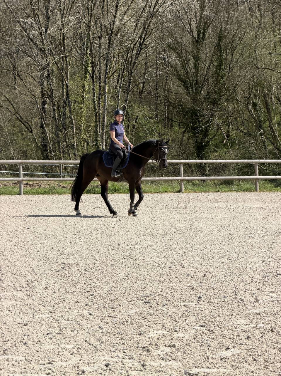 Petit cheval CSO
