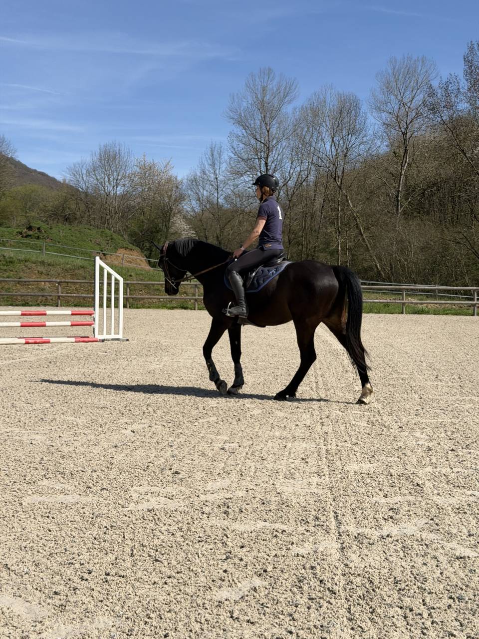 Petit cheval CSO