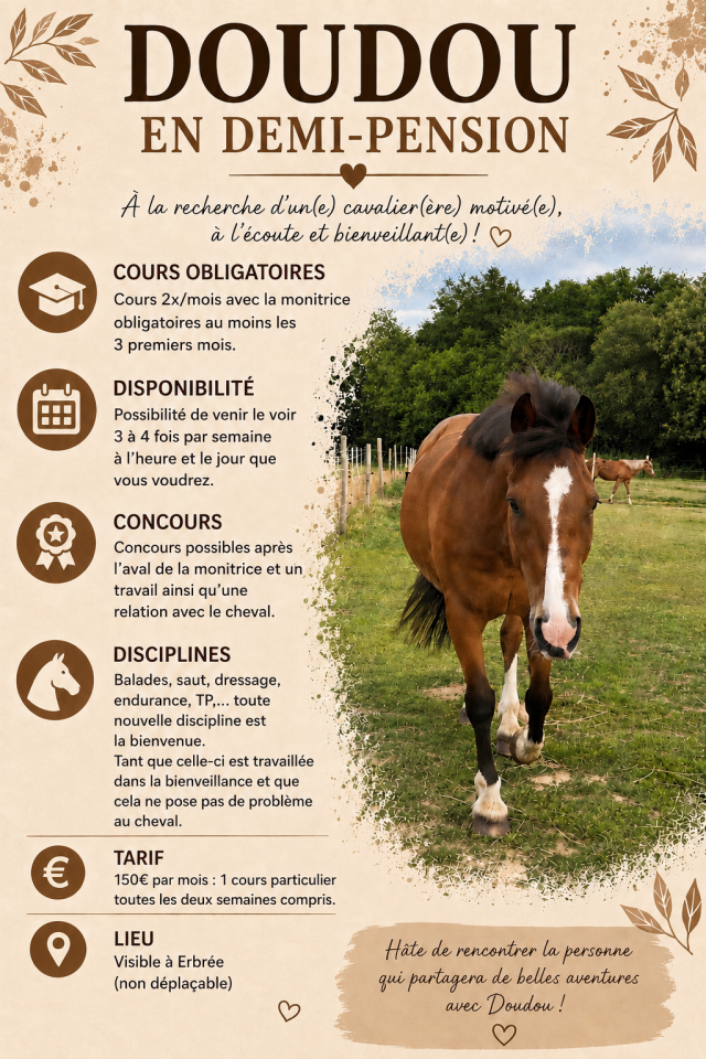 Recherche DP