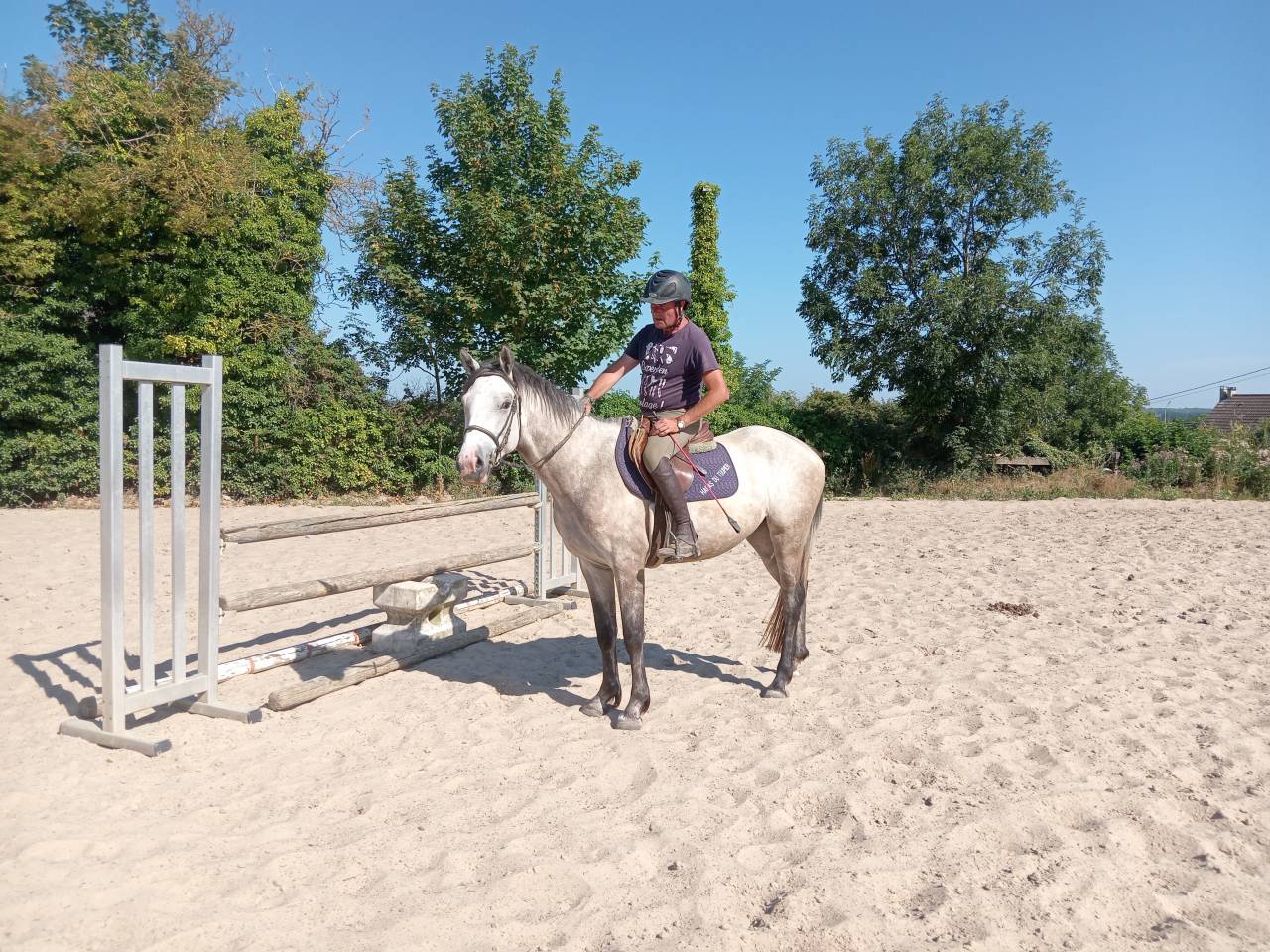 Ponette de 3ans &agrave; vendre