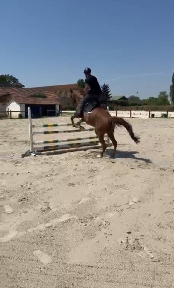 Fairplay de l&rsquo;oret SF