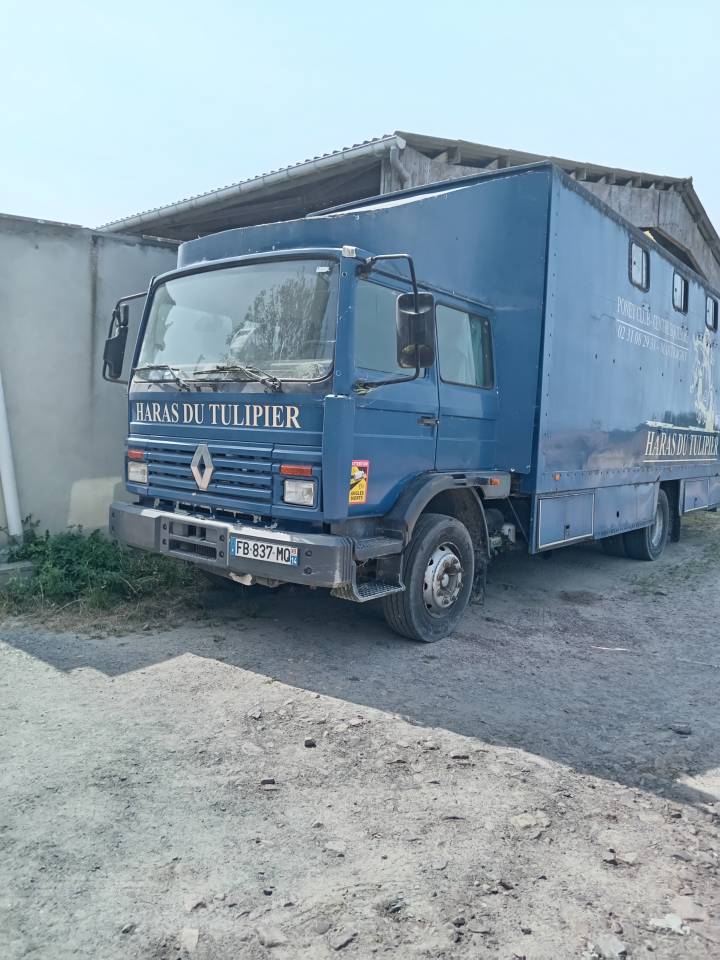&Agrave; vendre Camion 7 places chevaux 