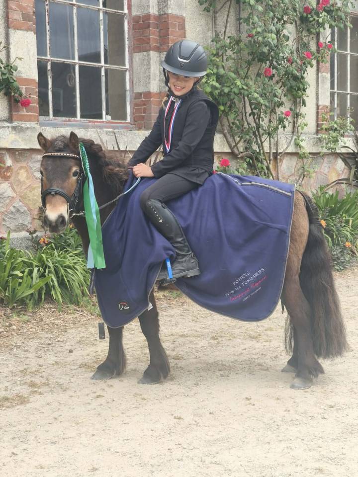 Ponette shetland PP (CSO/equifun/hunter)