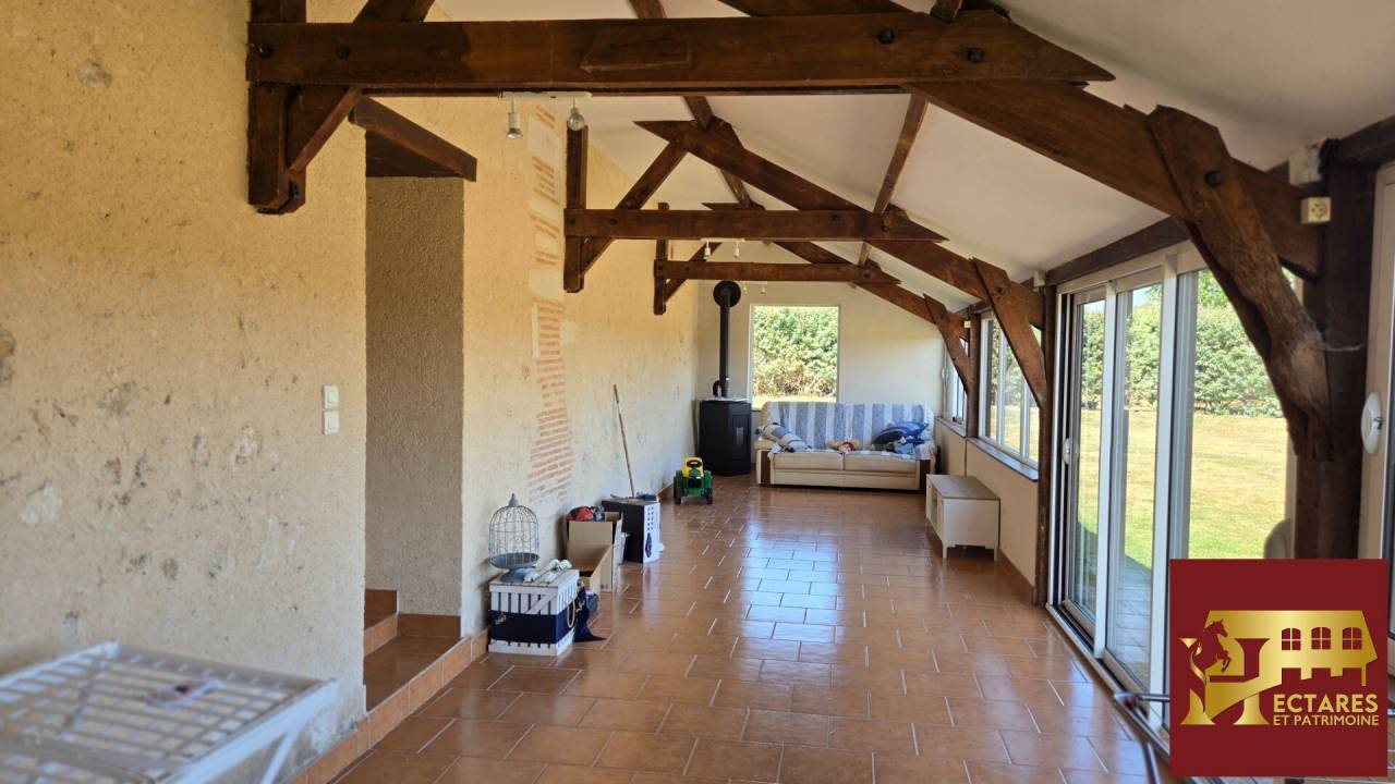 1014337_1785465063_4666.jpg