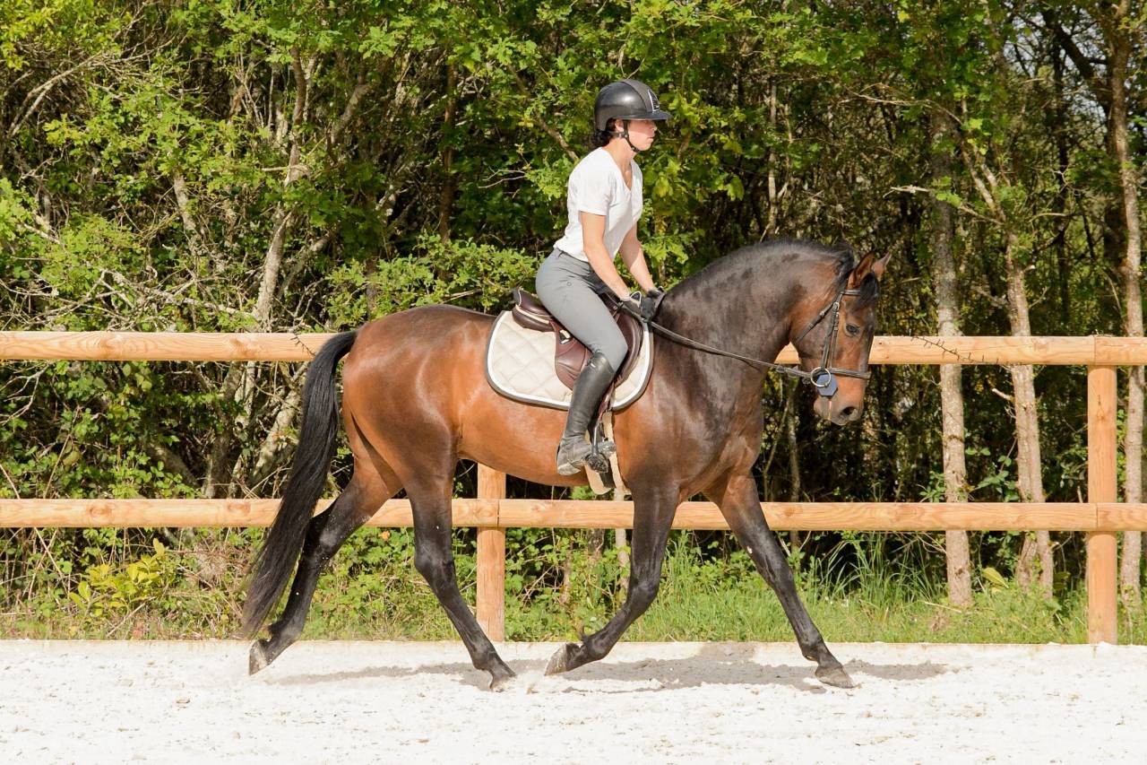 Sublime PRE de 4 ans 