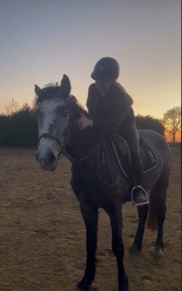 Poney &agrave; vendre - Narco du Rouvre  Hongre connemara