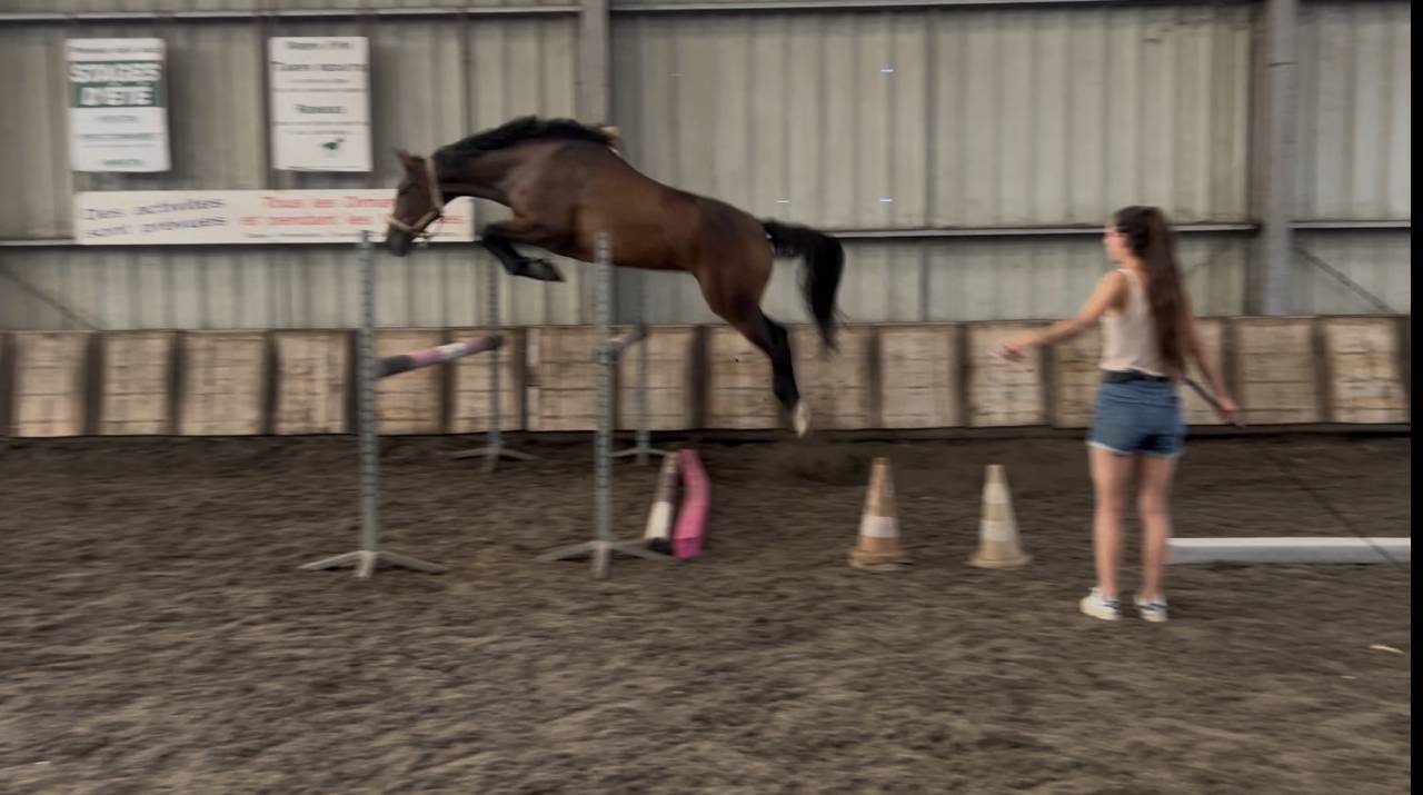 &Agrave; vendre 4 ans 