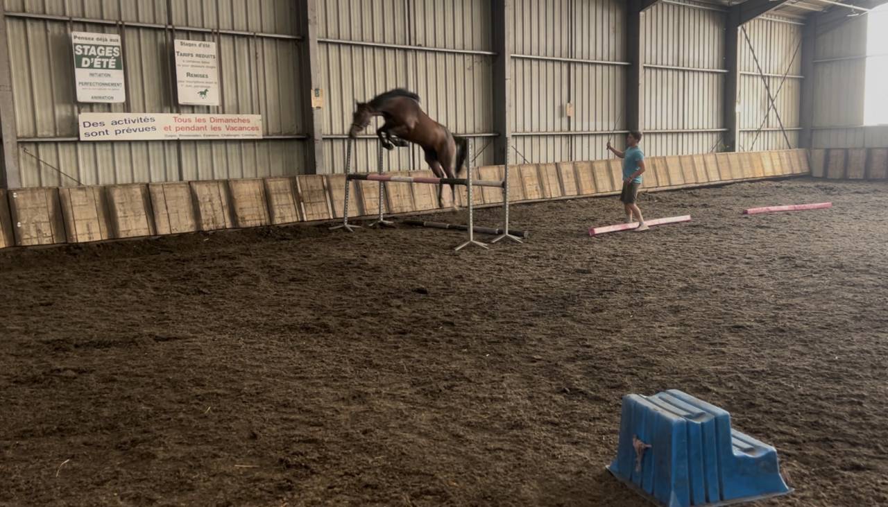 &Agrave; vendre 4 ans 