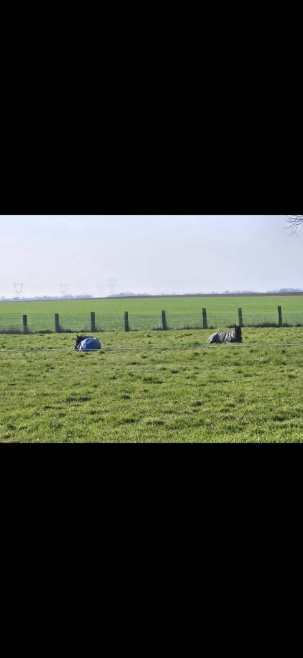 Pr&eacute; Chevaux - Secteur 13 min d'Etampes (91)
