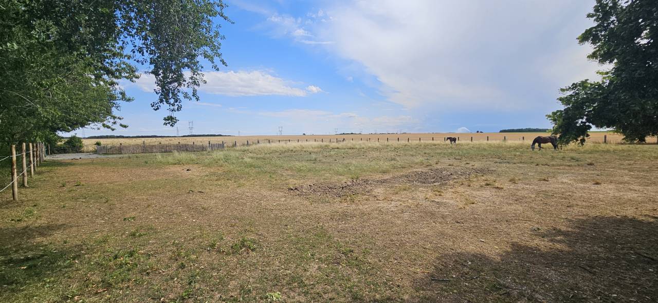 Pr&eacute; Chevaux - Secteur 13 min d'Etampes (91)