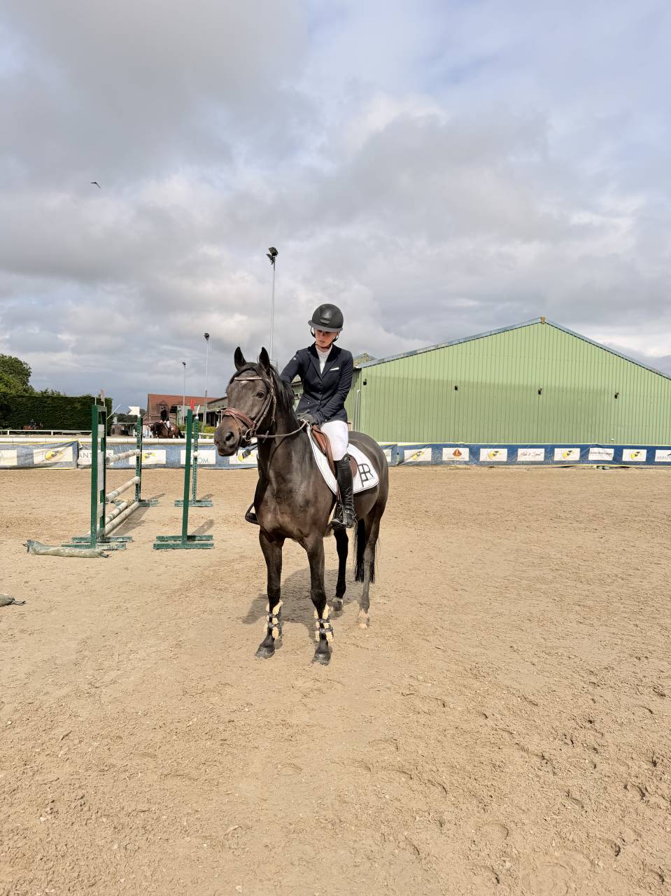 Poney de 6 ans &agrave; vendre 