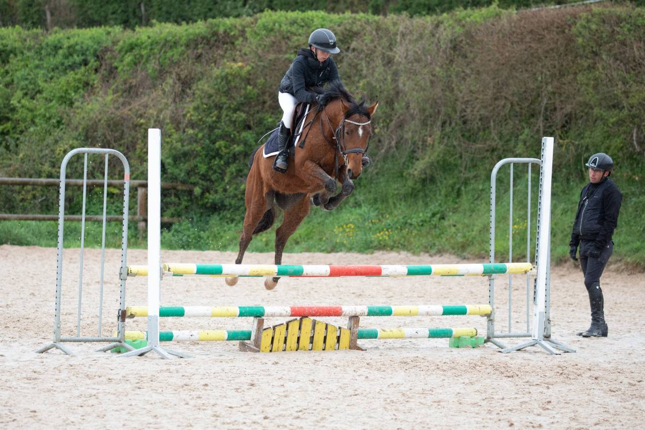 Poney D &agrave; vendre