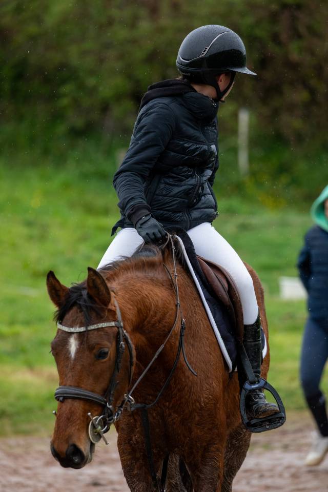 Poney D &agrave; vendre