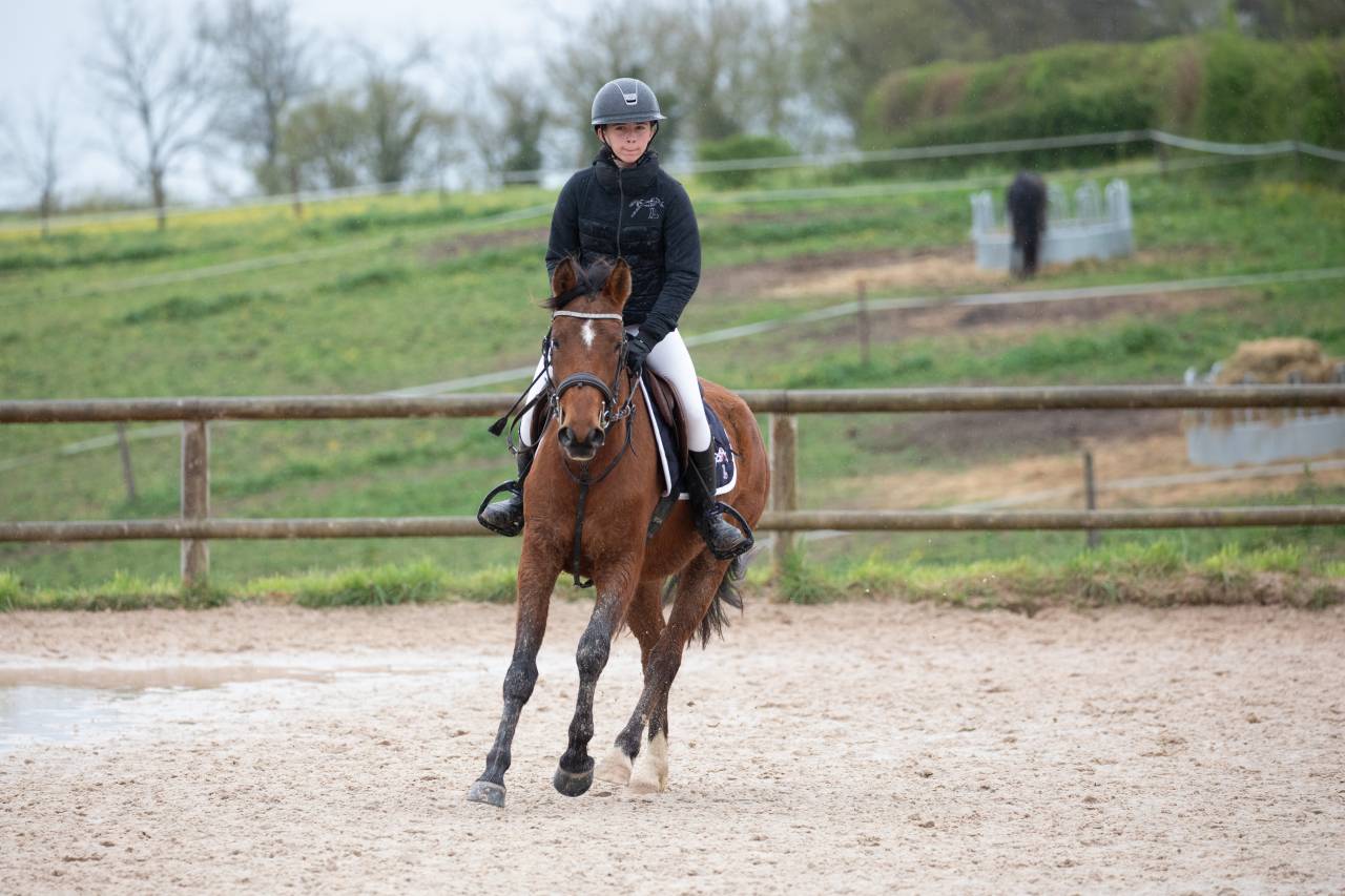 Poney D &agrave; vendre
