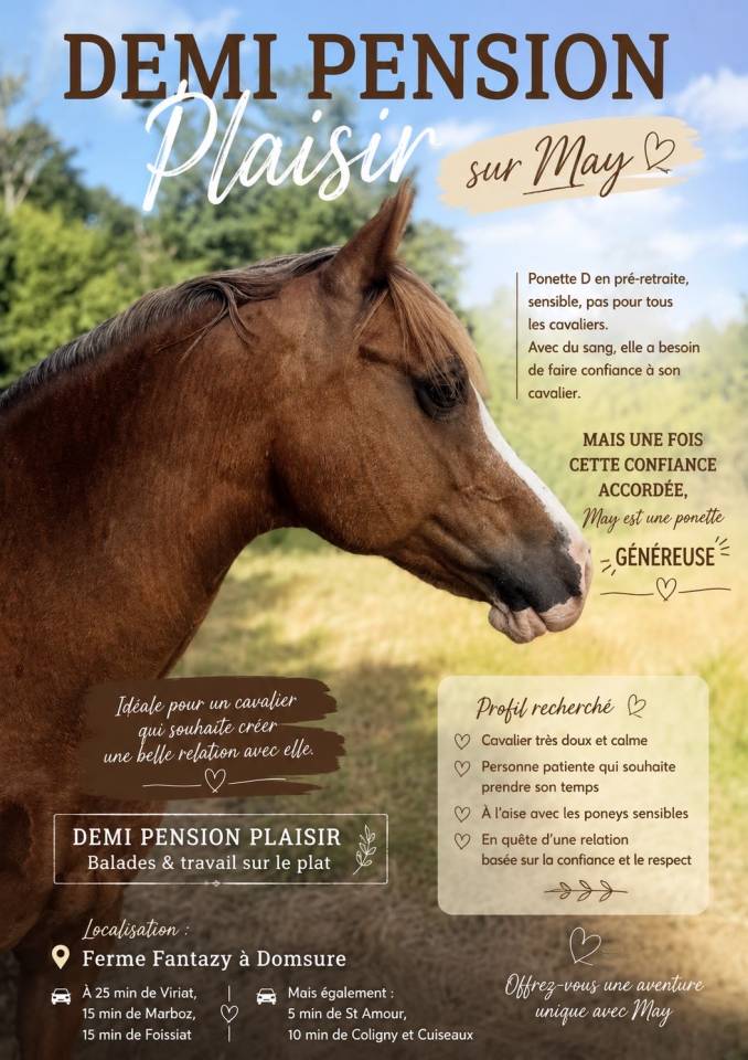 Plusieurs poneys &agrave; prendre en DP 