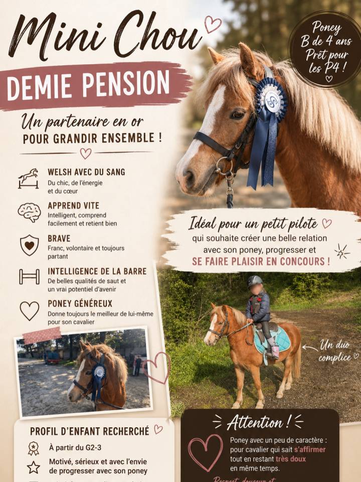 Plusieurs poneys &agrave; prendre en DP 