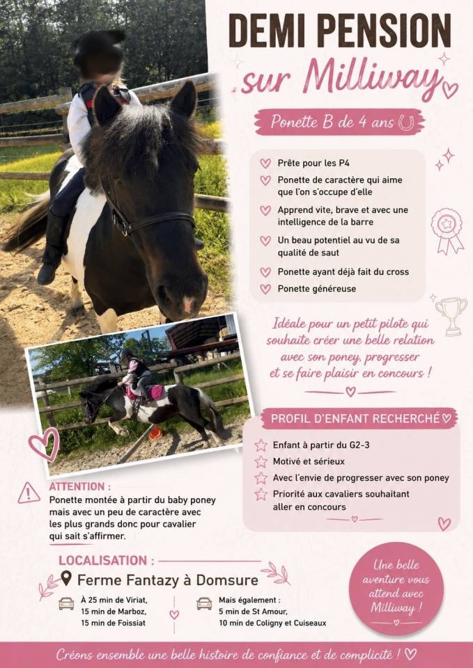Plusieurs poneys &agrave; prendre en DP 