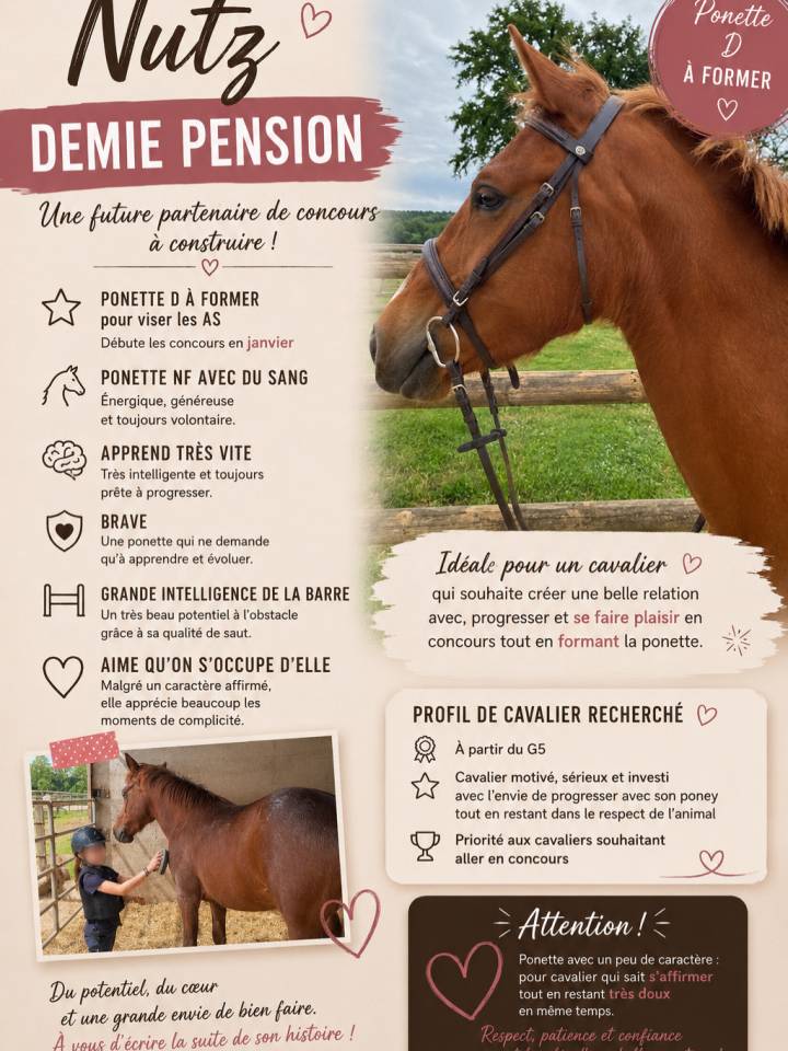 Plusieurs poneys &agrave; prendre en DP 