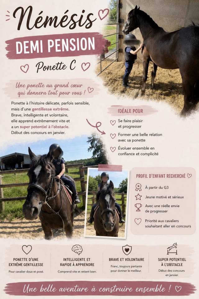 Plusieurs poneys &agrave; prendre en DP 
