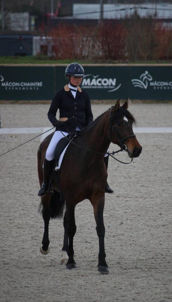 jument assurance vie pour dressage amateur