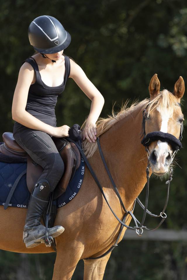 Ponette D pour demi-pension 