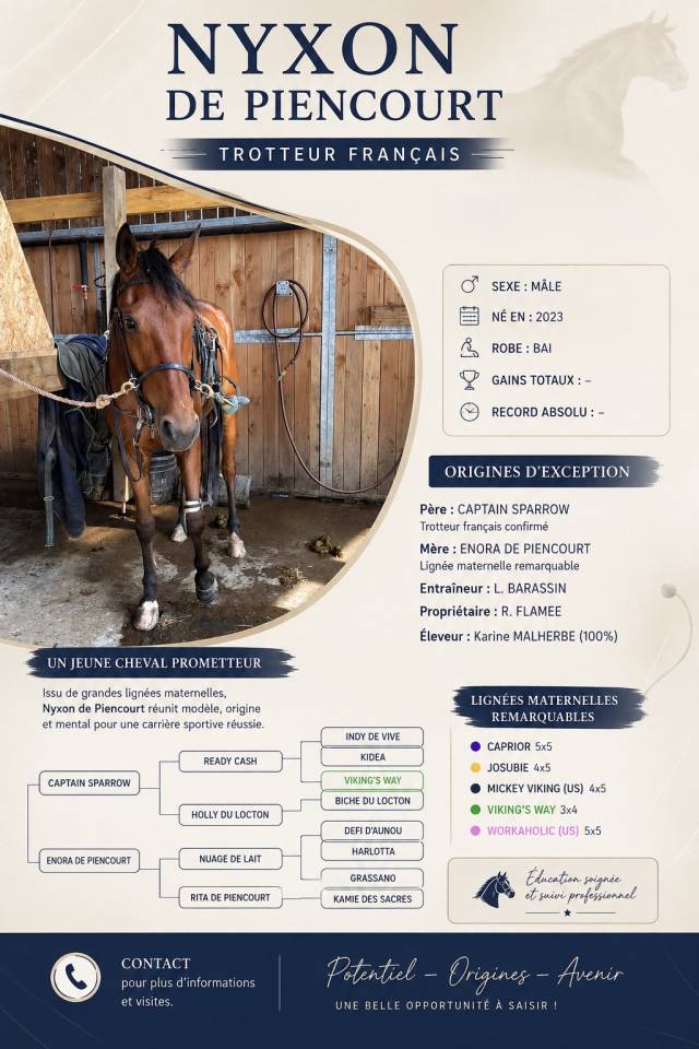 NYXON DE PIENCOURT - petit fils de ready cash