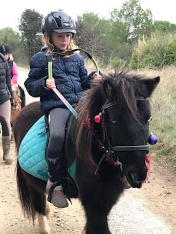 Poney pour club 