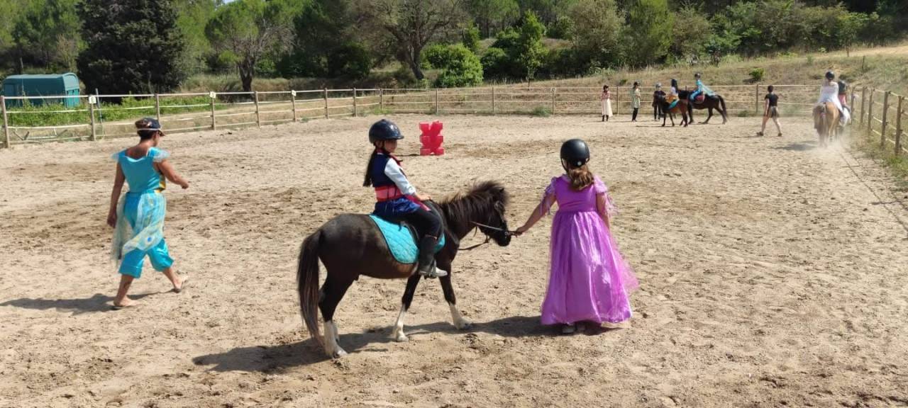 Poney pour club 