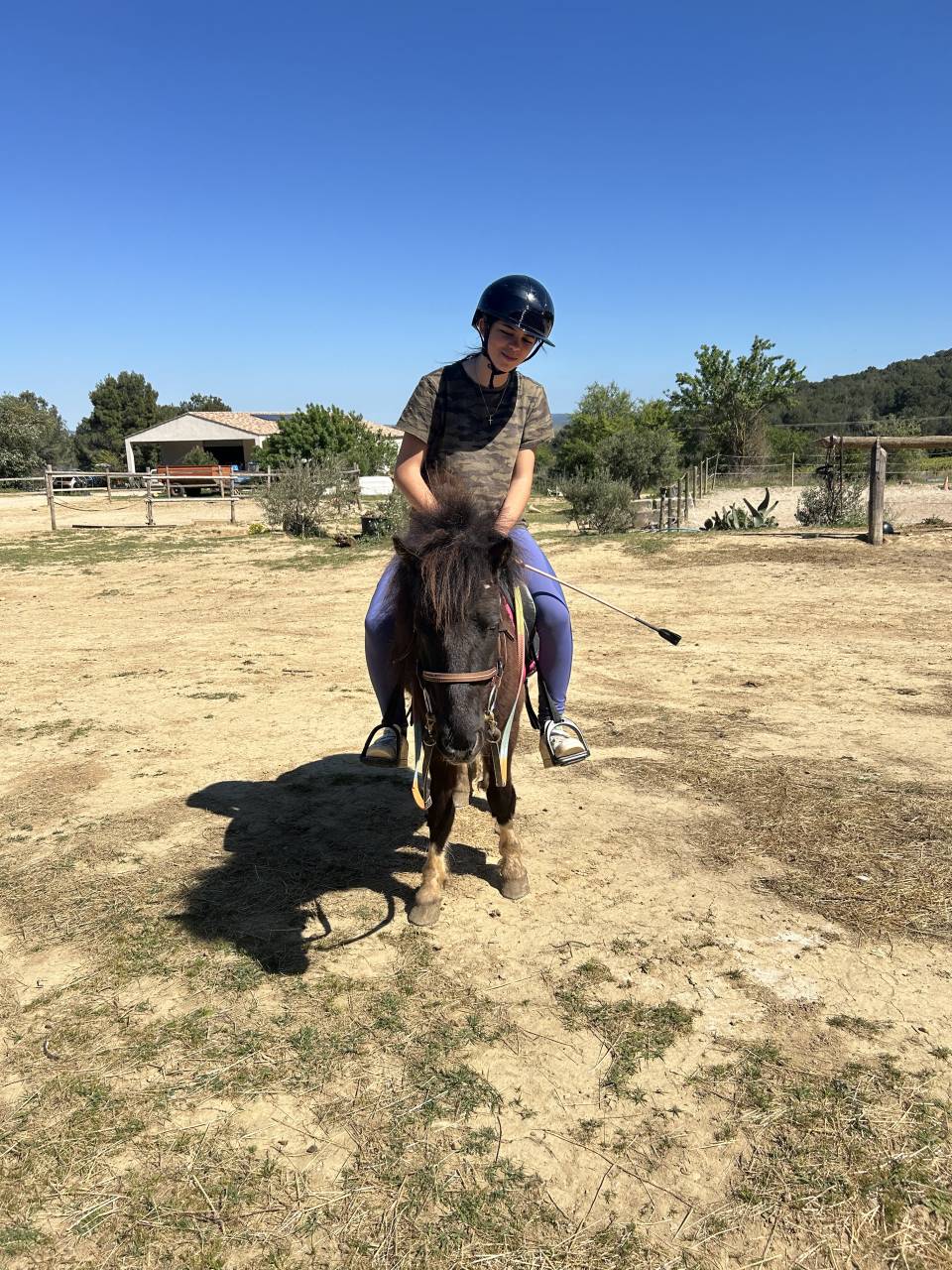 Poney pour club 