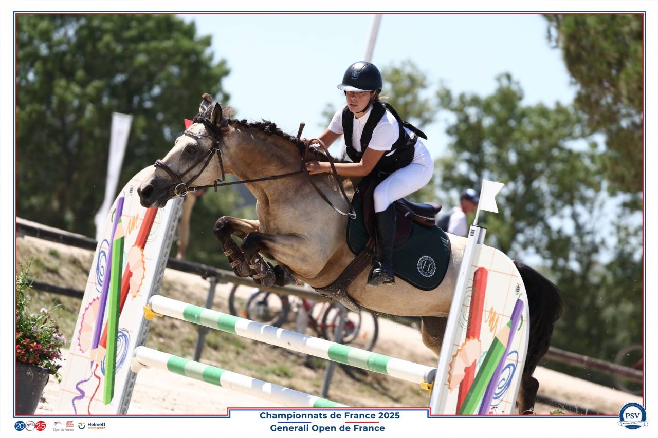 poney d&rsquo;as &agrave; vendre 