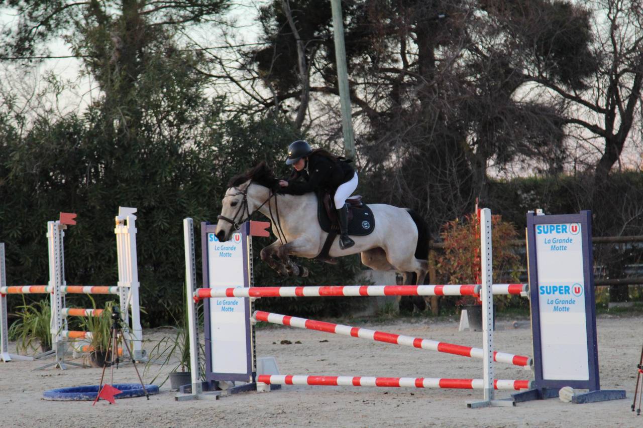 poney d&rsquo;as &agrave; vendre 