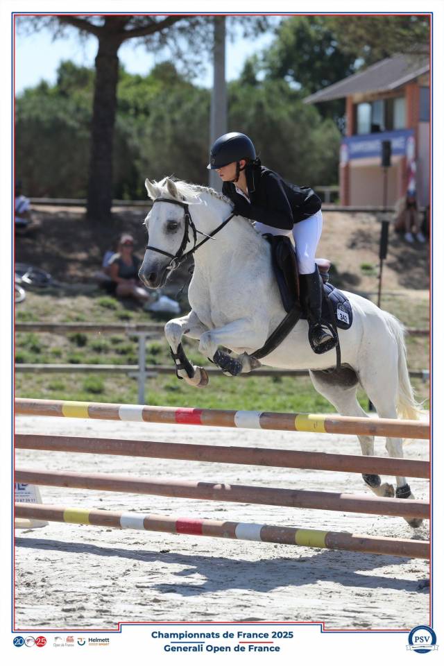 Poney C welsh pb 