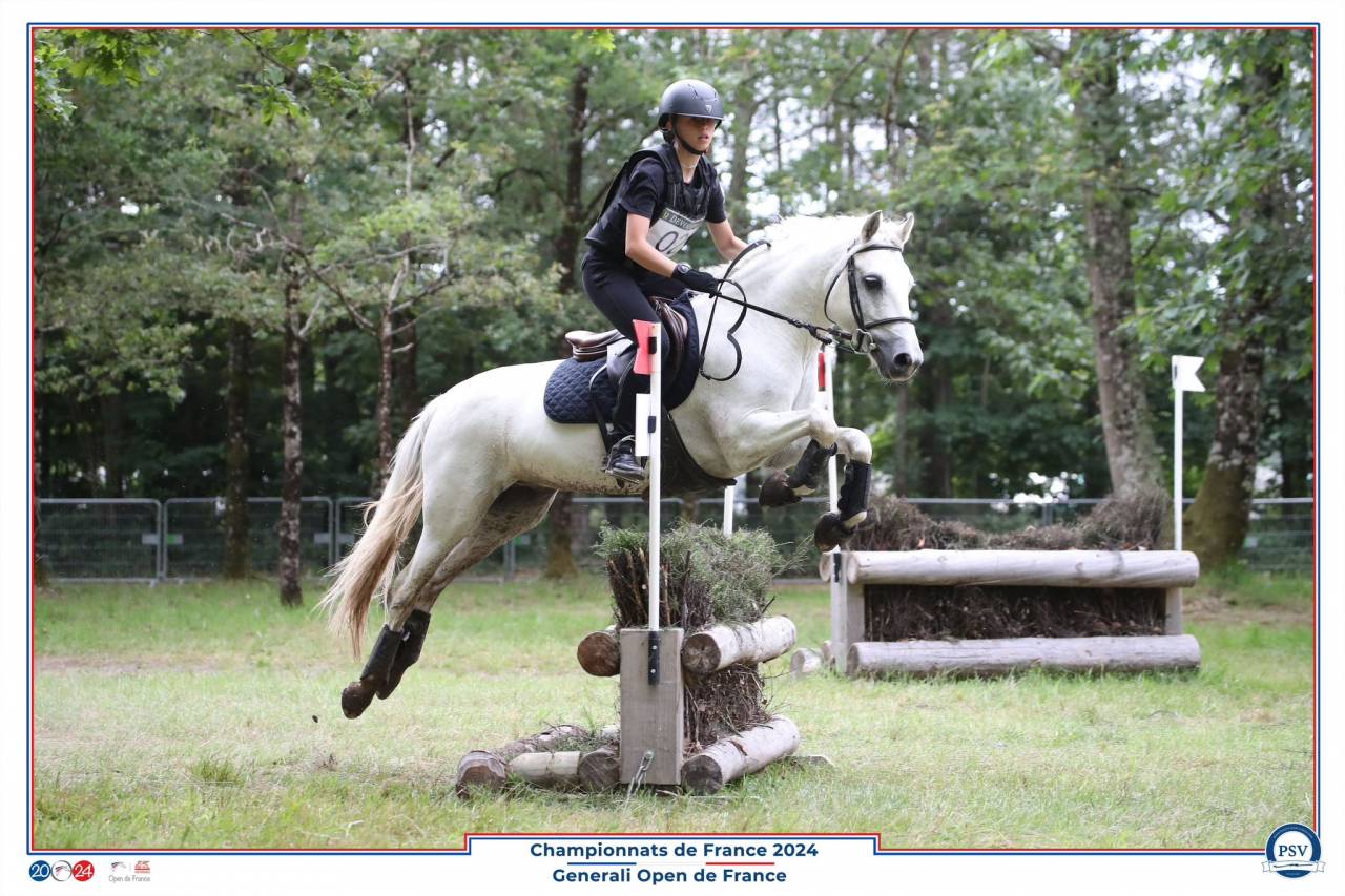 Poney C welsh pb 