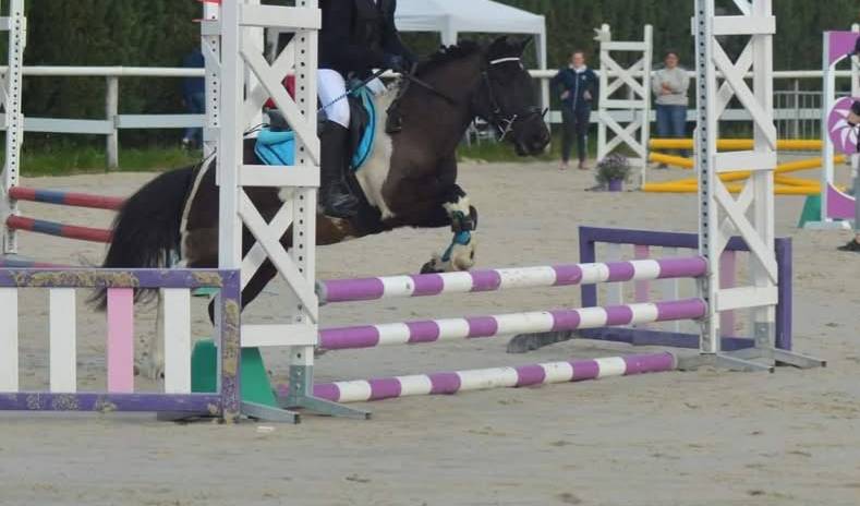 &Agrave; vendre &ndash; Eliot Poney B