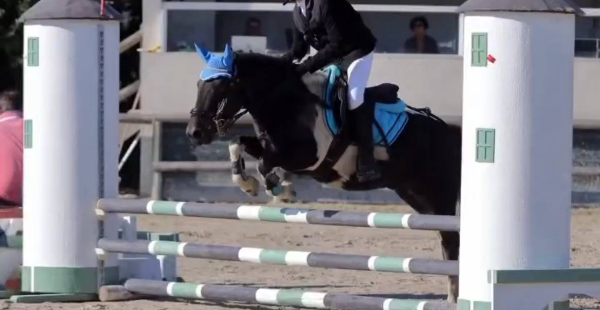 &Agrave; vendre &ndash; Eliot Poney B