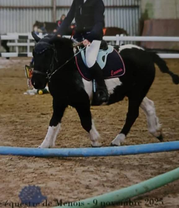 &Agrave; vendre &ndash; Eliot Poney B