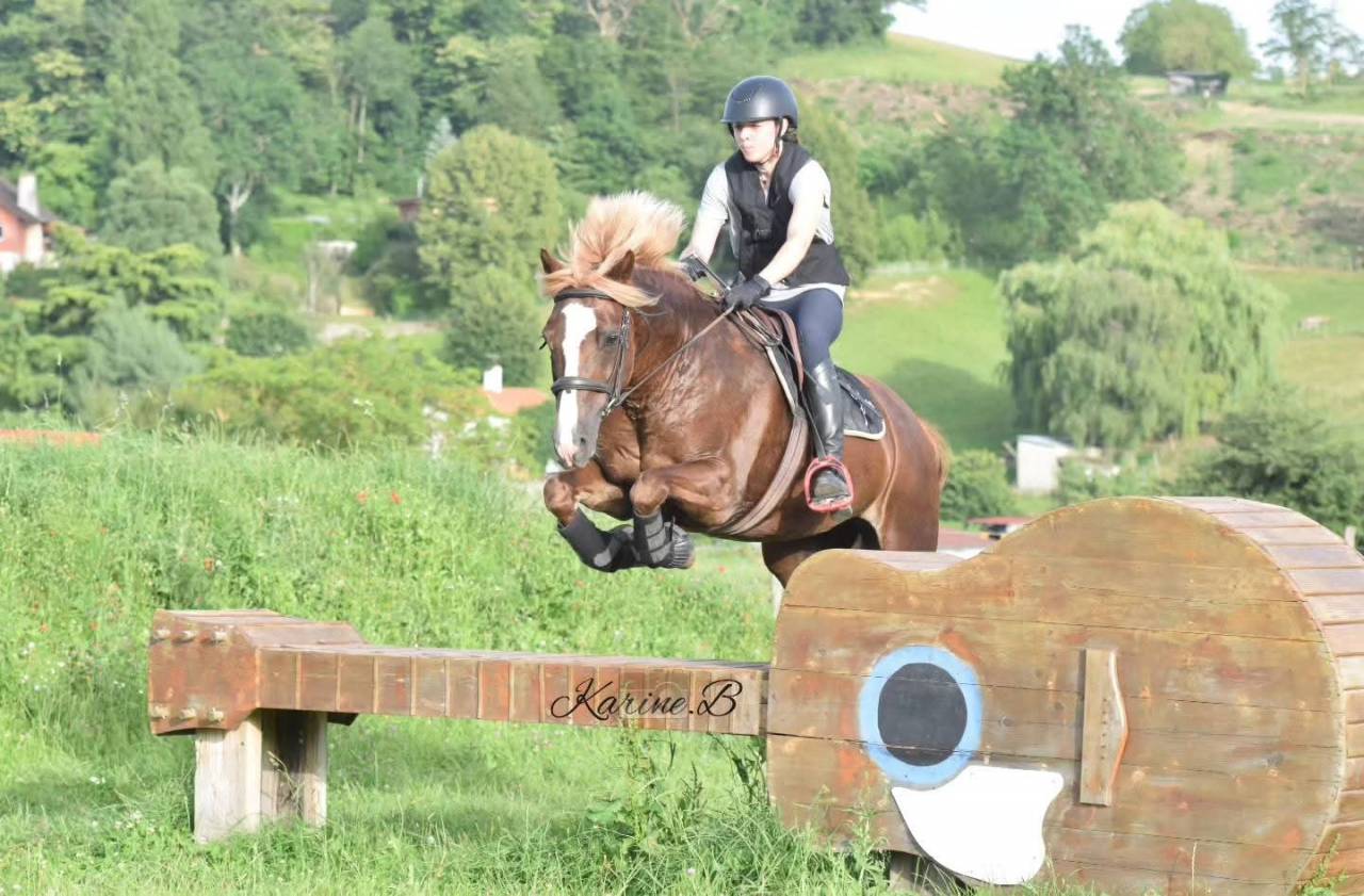 Jument welsh cob