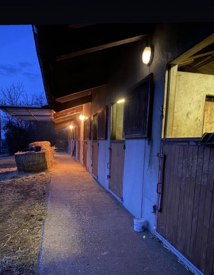 &Eacute;levage de Chanay 