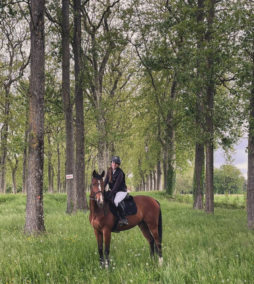 Cheval de 8 ans a vendre