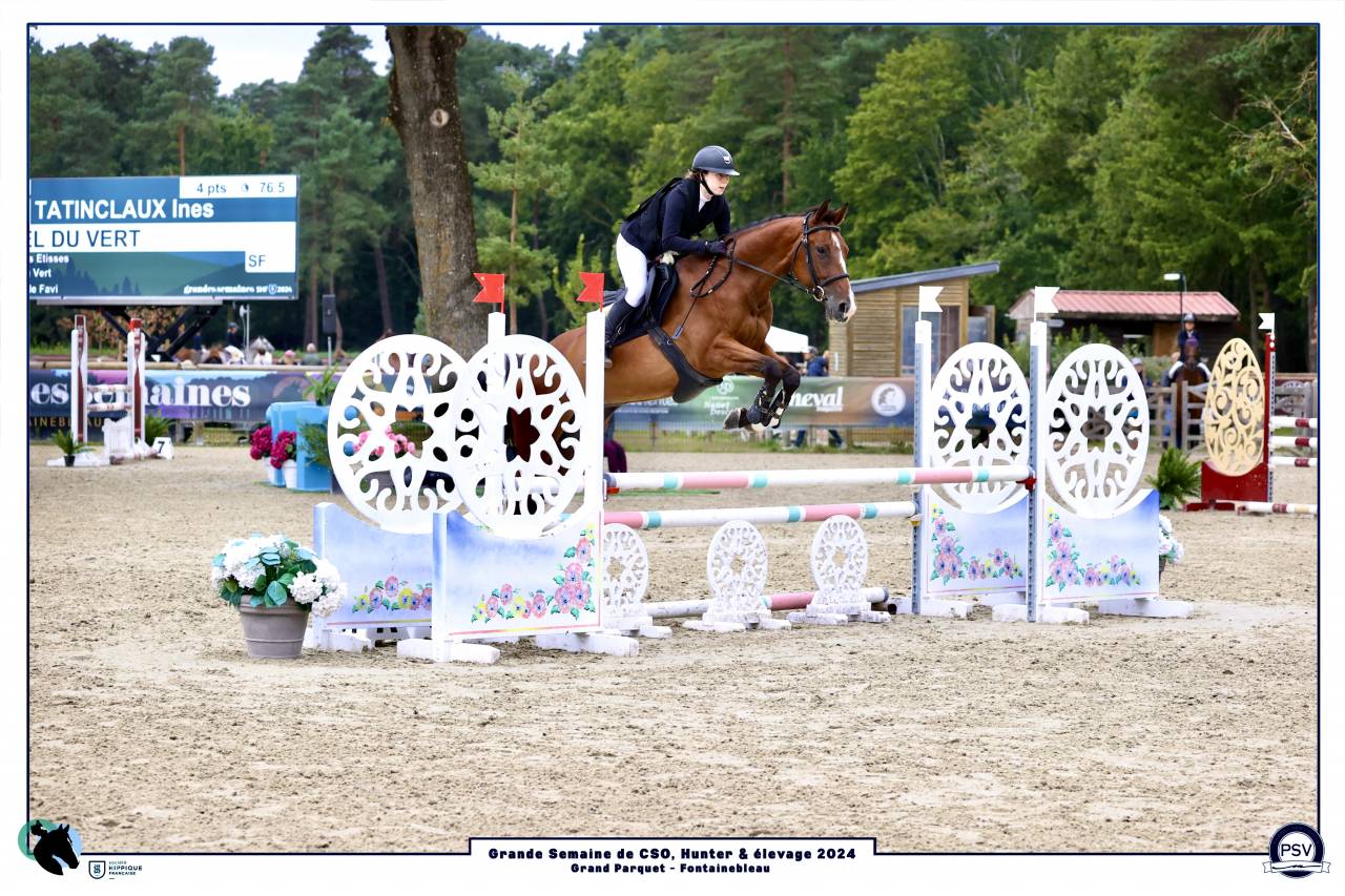 Cheval de 8 ans a vendre
