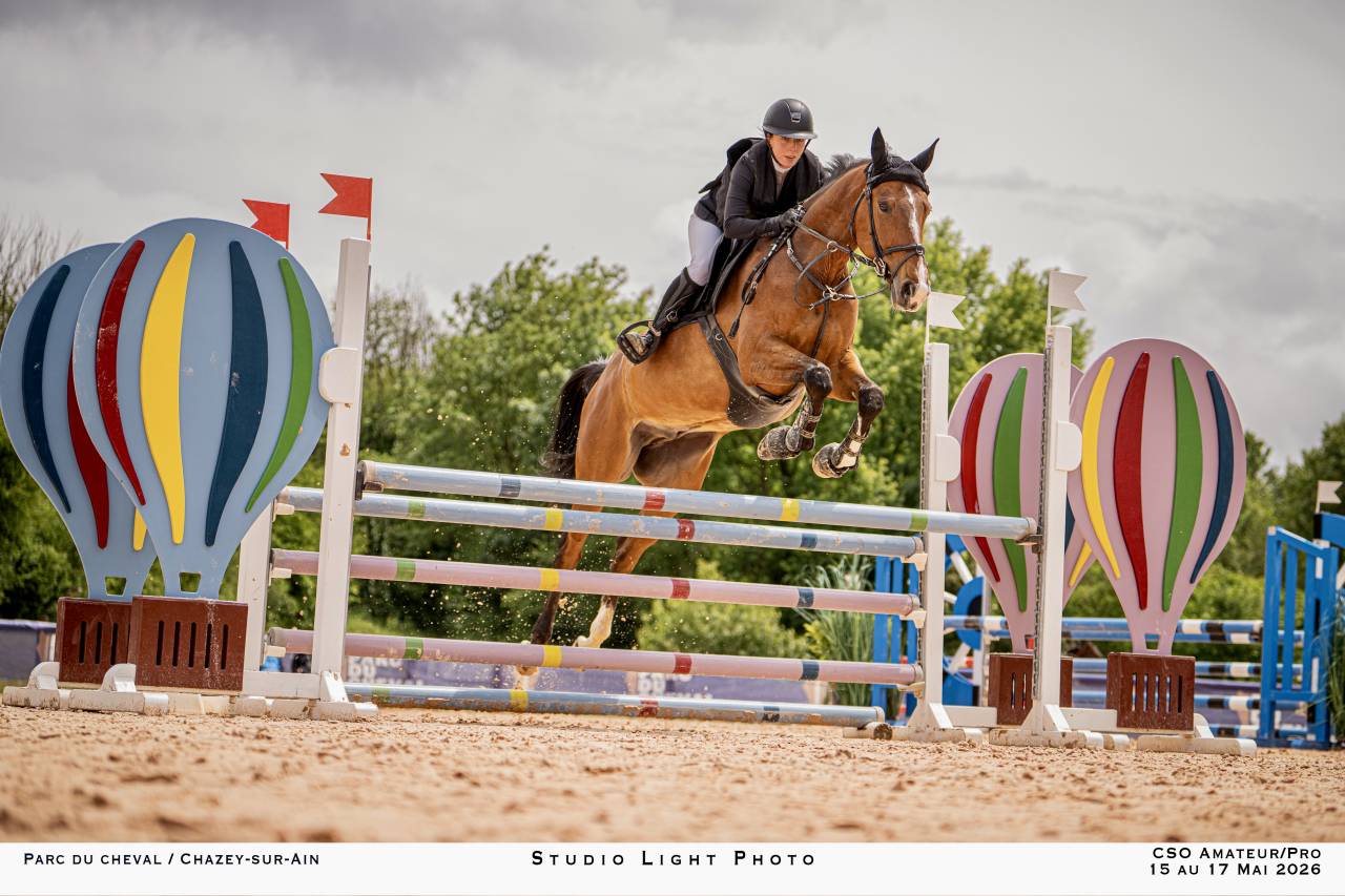 Cheval de 8 ans a vendre