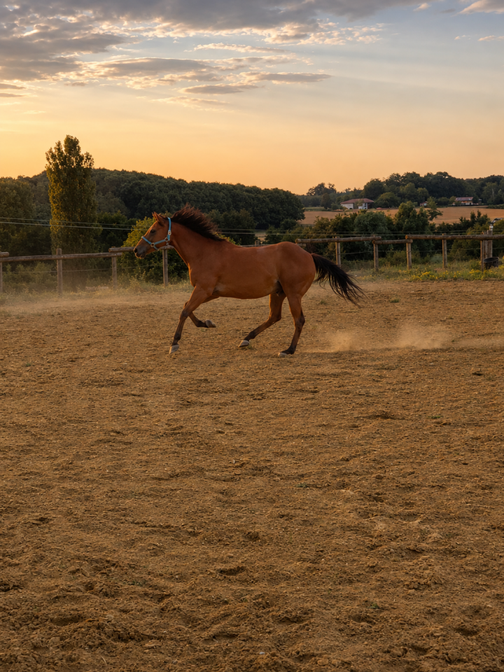 Les &Eacute;curies d&rsquo;Eurofarm 