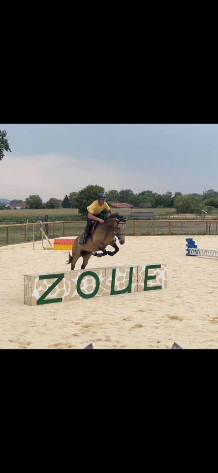 Poney D de 4 ans 