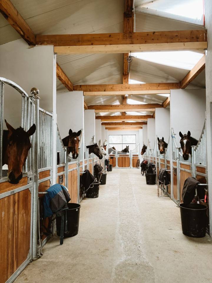 Gestionnaire d&rsquo;&eacute;curie / Cavalier maison