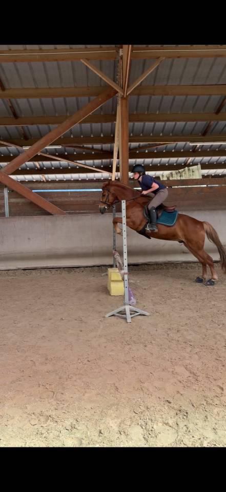 Tr&egrave;s beau poney ONC 7 ans